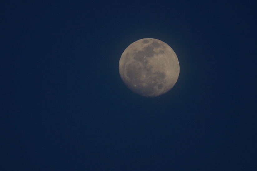 la Lune 24.04.13 - photo by Christopher J Cart ©2013