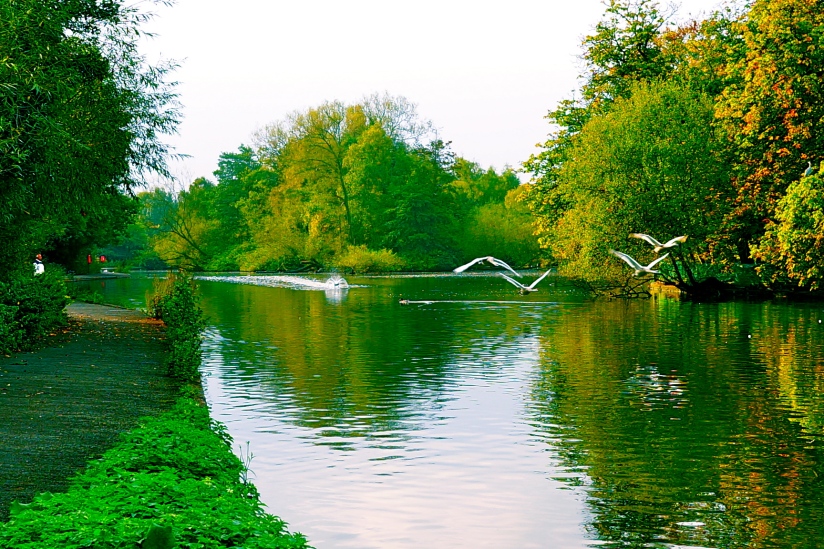 Swanshurst Park, Yardley Wood, Birmingham, UK
