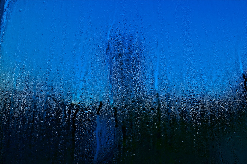 Condensation at dawn on a blue Monday. . . 