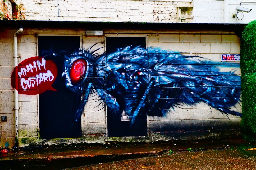 Grafitti at the Custard Factory, Digbeth, Birmingham, UK